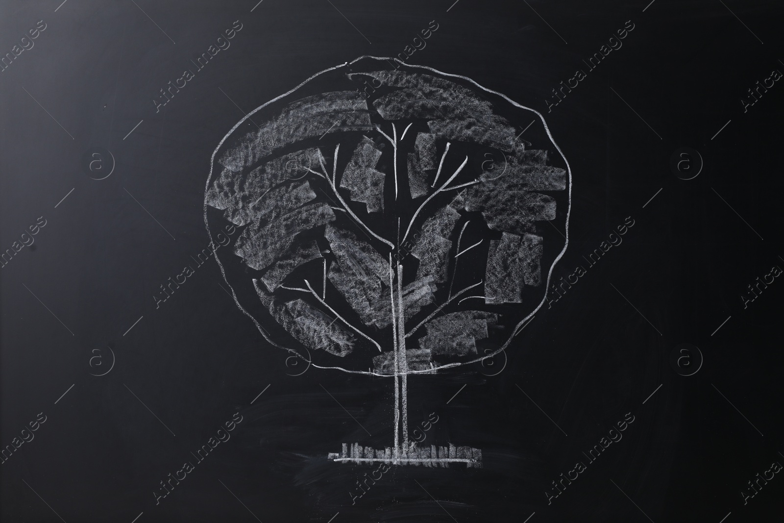 Photo of Beautiful drawing of tree on black chalkboard