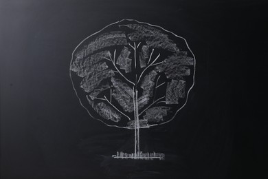 Photo of Beautiful drawing of tree on black chalkboard