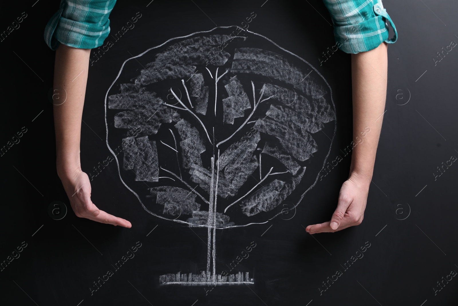 Photo of Woman keeping safe tree drawn on chalkboard, closeup