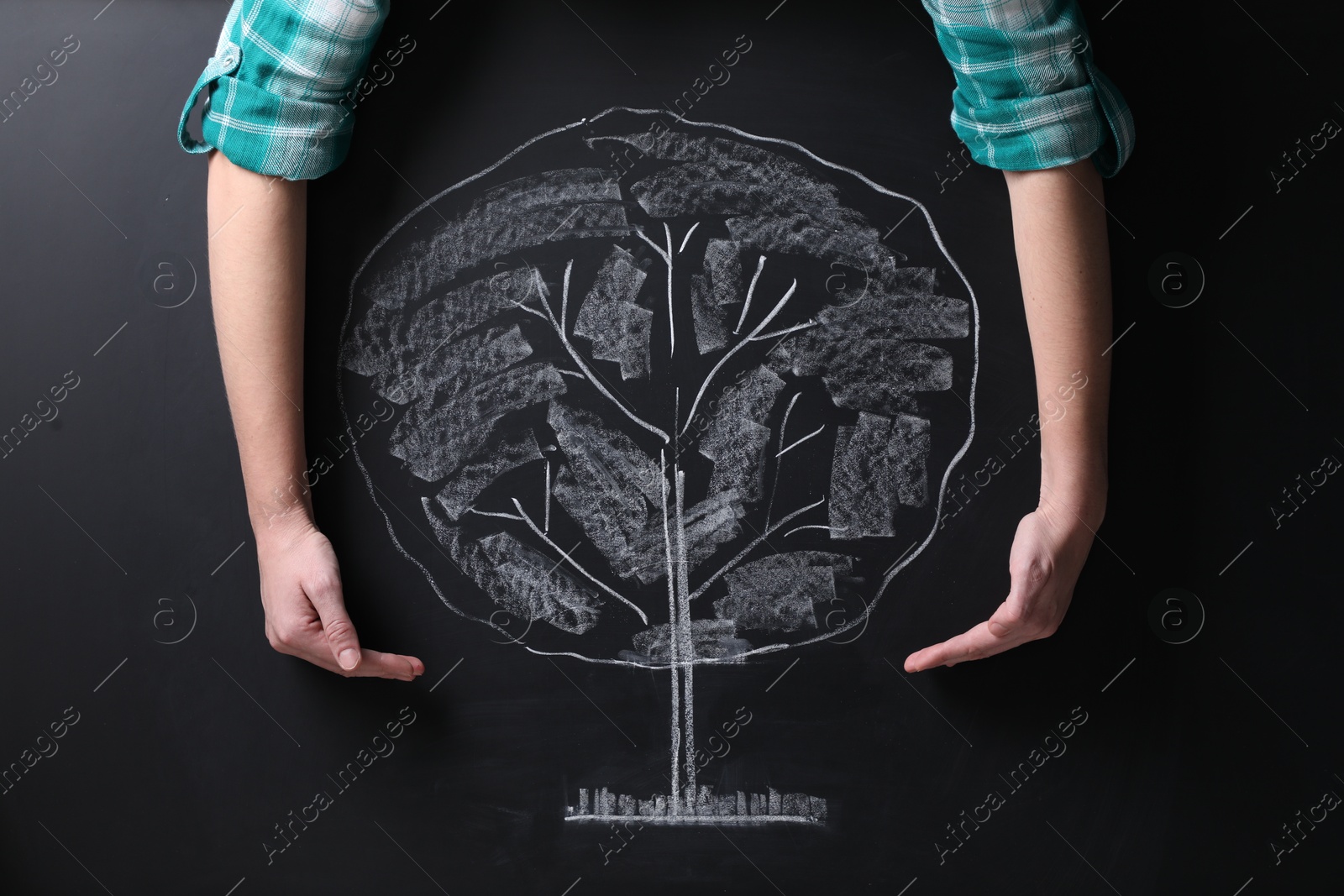 Photo of Woman keeping safe tree drawn on chalkboard, closeup