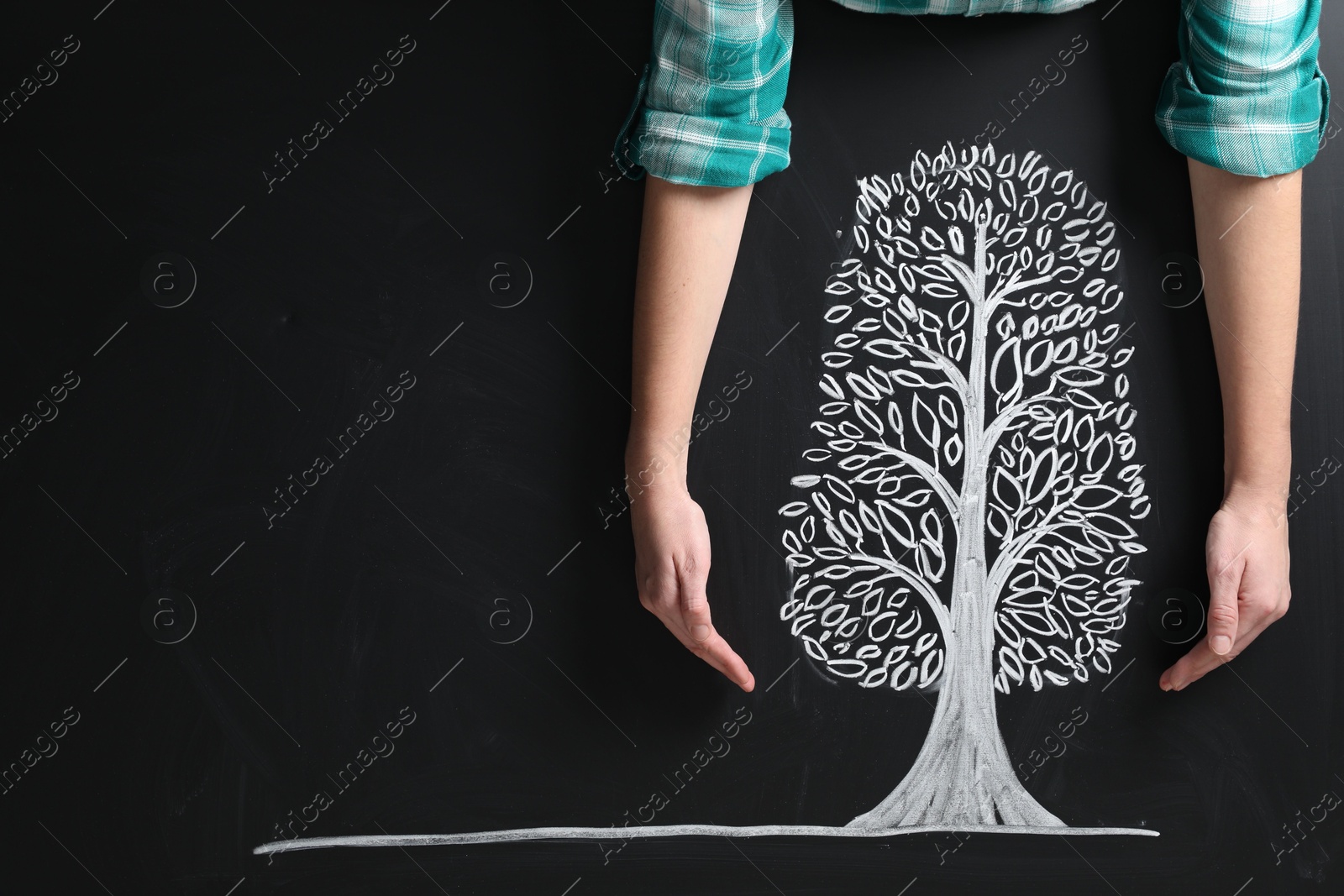 Photo of Woman keeping safe tree drawn on chalkboard, closeup. Space for text