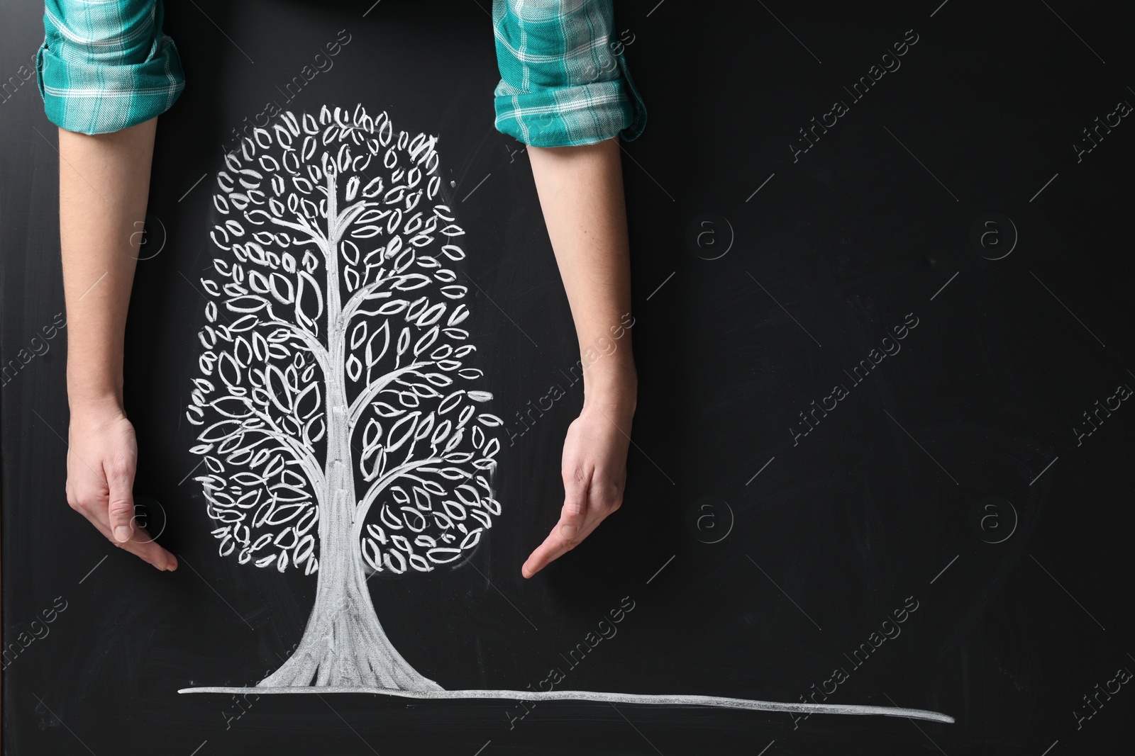 Photo of Woman keeping safe tree drawn on chalkboard, closeup. Space for text