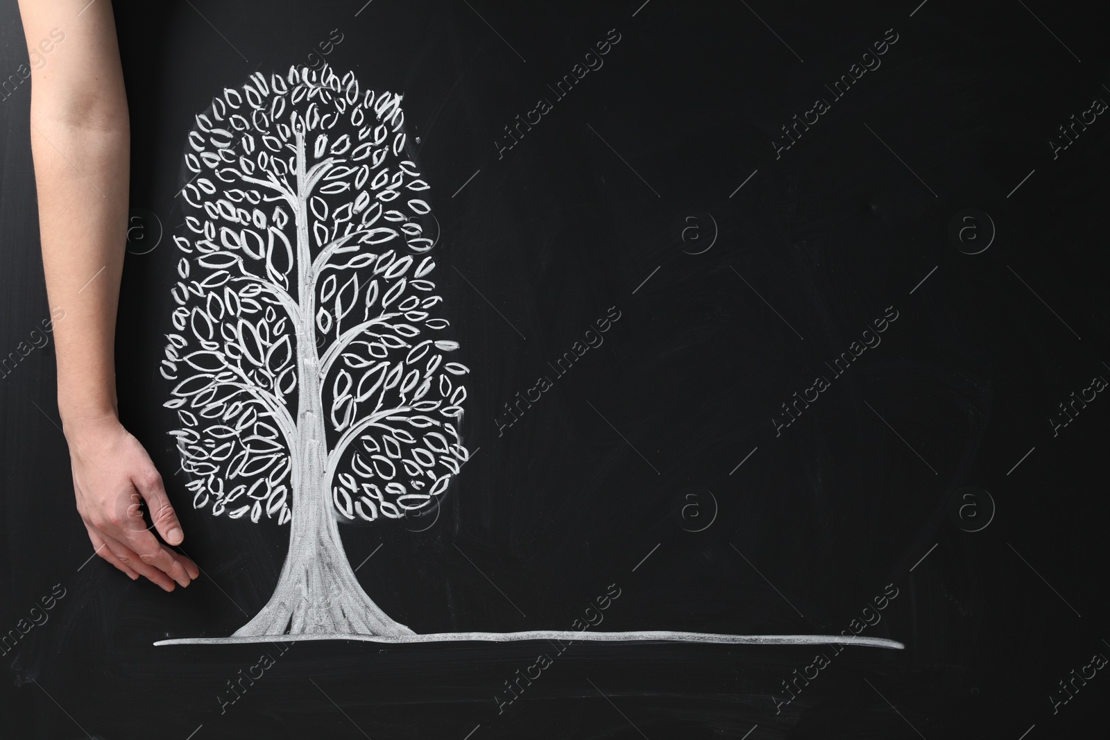 Photo of Woman keeping safe tree drawn on chalkboard, closeup. Space for text