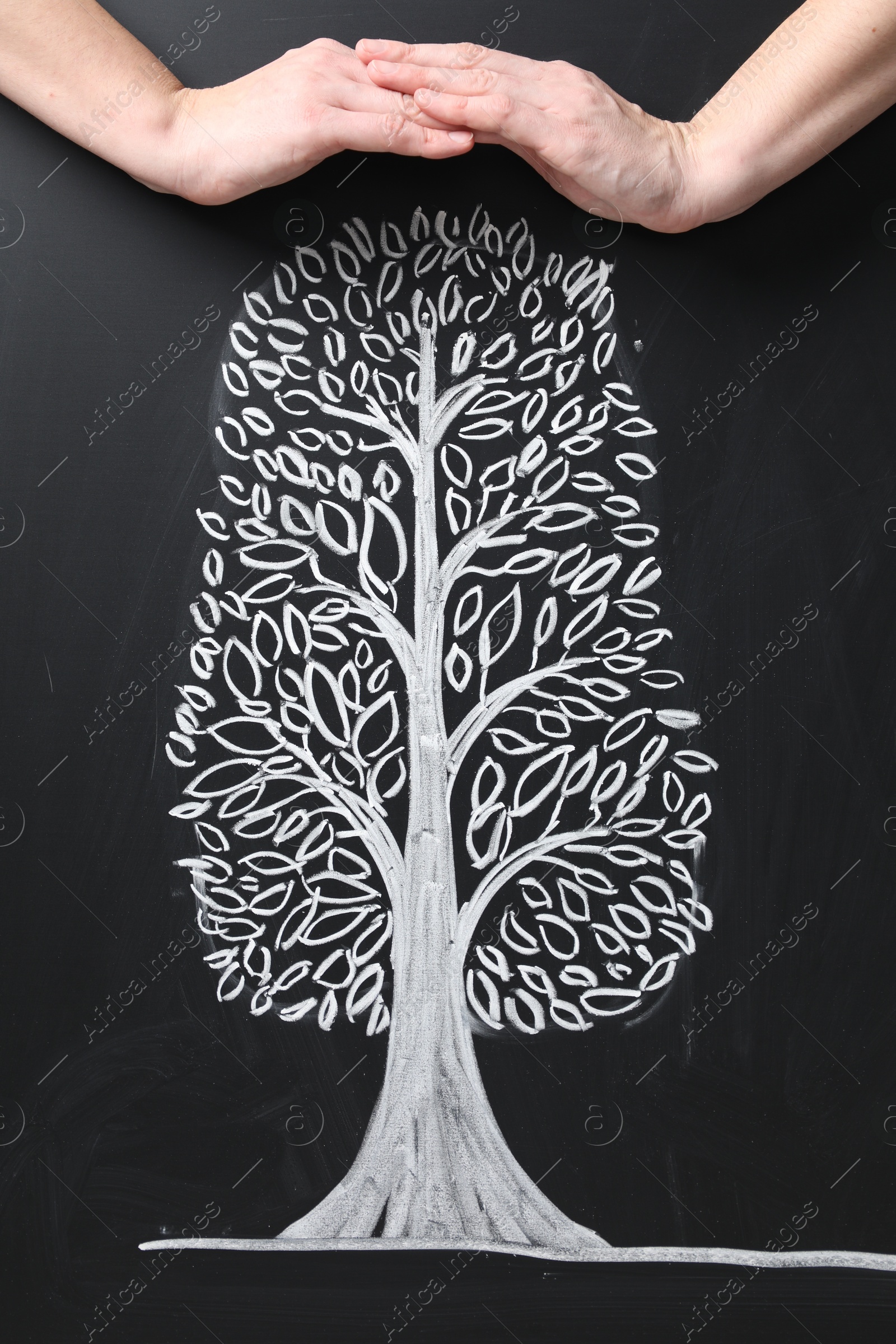 Photo of Woman keeping safe tree drawn on chalkboard, closeup