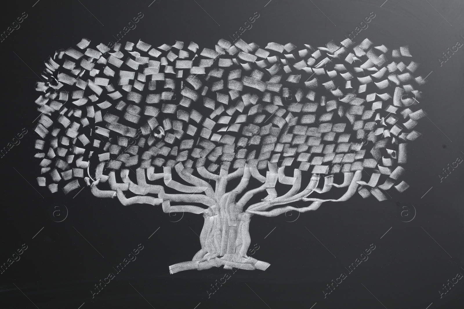 Photo of Beautiful drawing of tree on black chalkboard