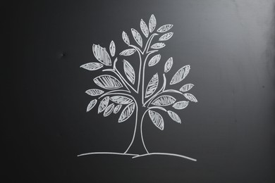 Photo of Beautiful drawing of tree on black chalkboard