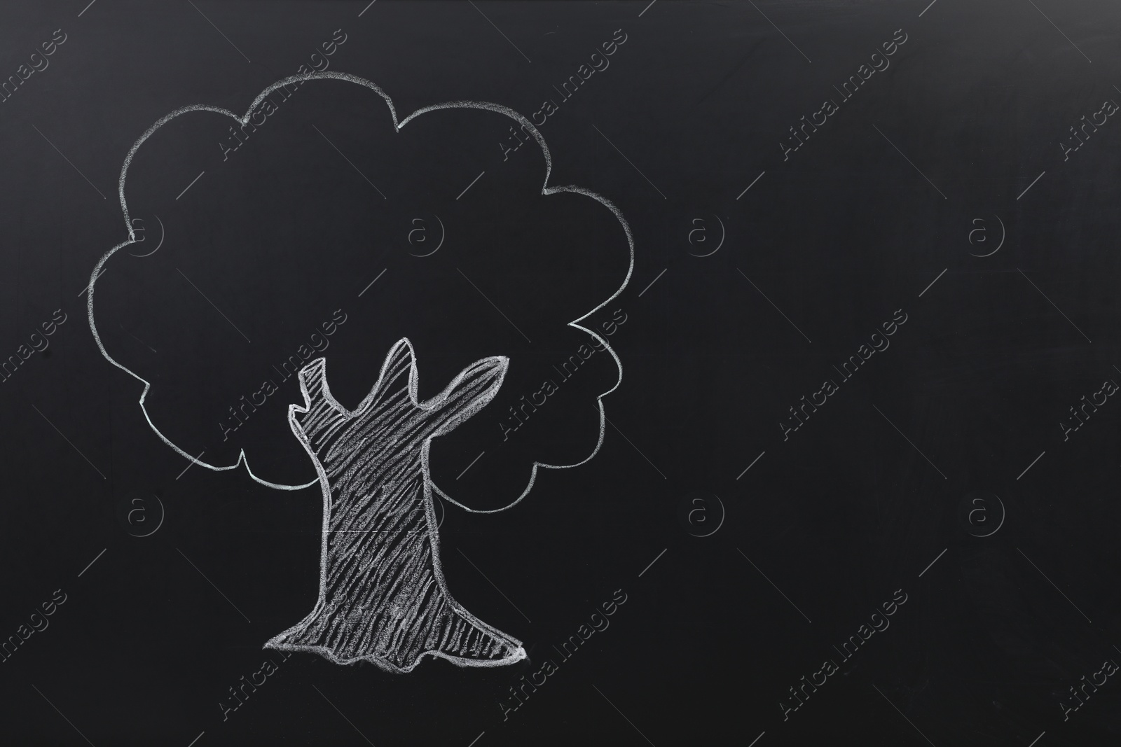 Photo of Beautiful drawing of tree on black chalkboard. Space for text