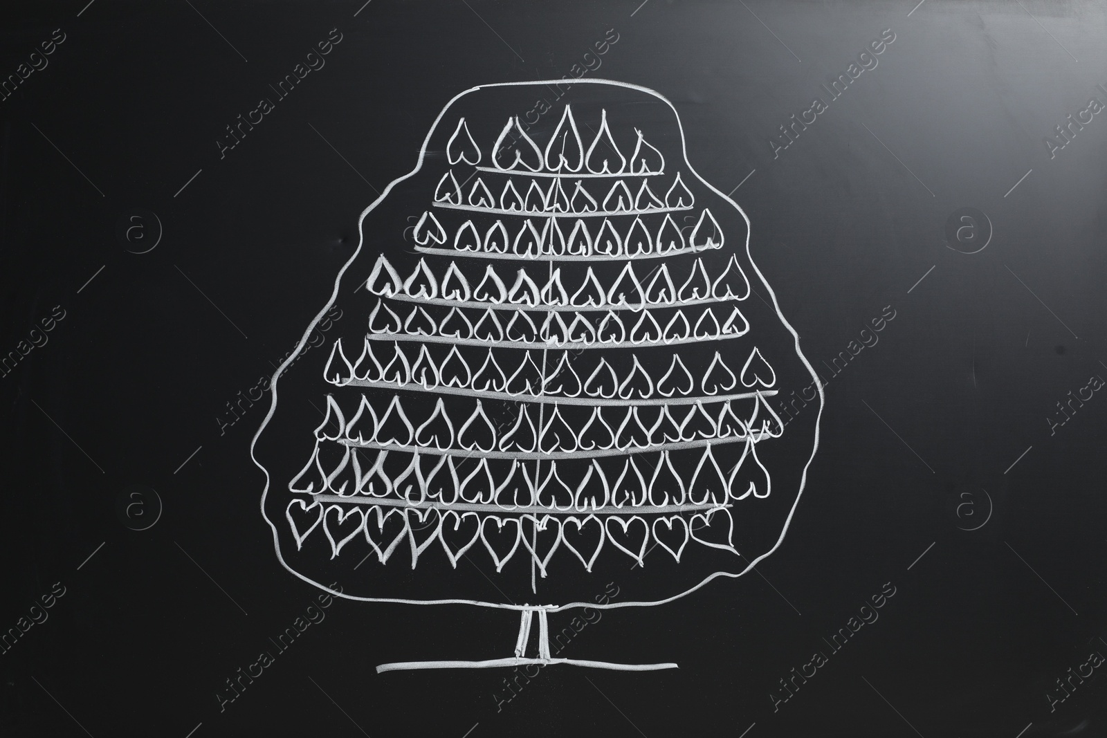 Photo of Beautiful drawing of tree on black chalkboard