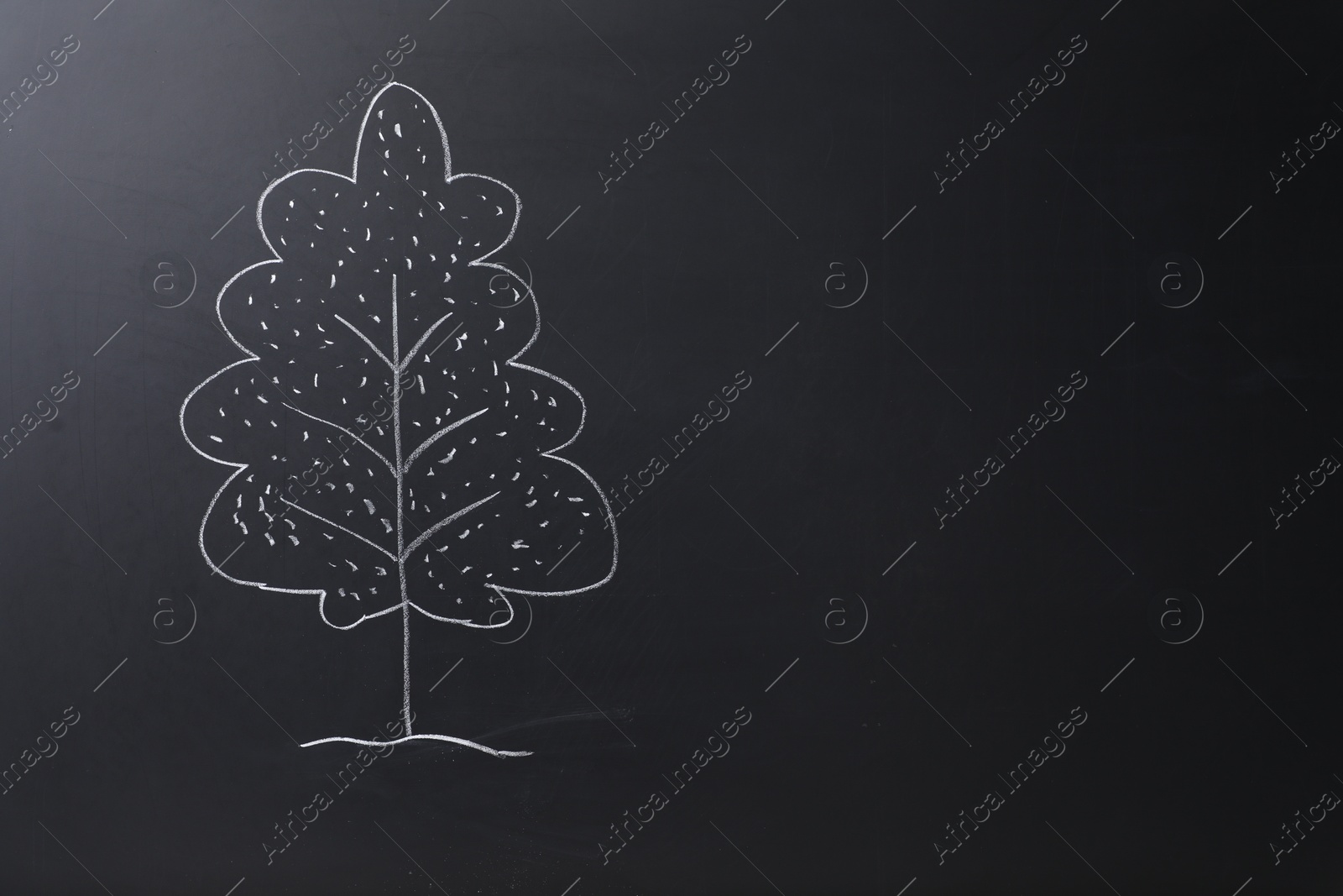 Photo of Beautiful drawing of tree on black chalkboard. Space for text