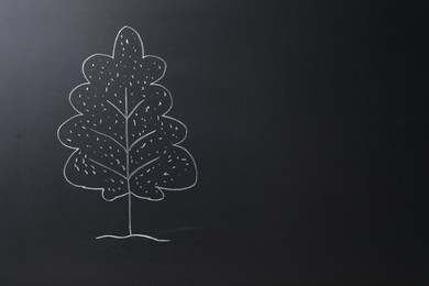 Photo of Beautiful drawing of tree on black chalkboard. Space for text