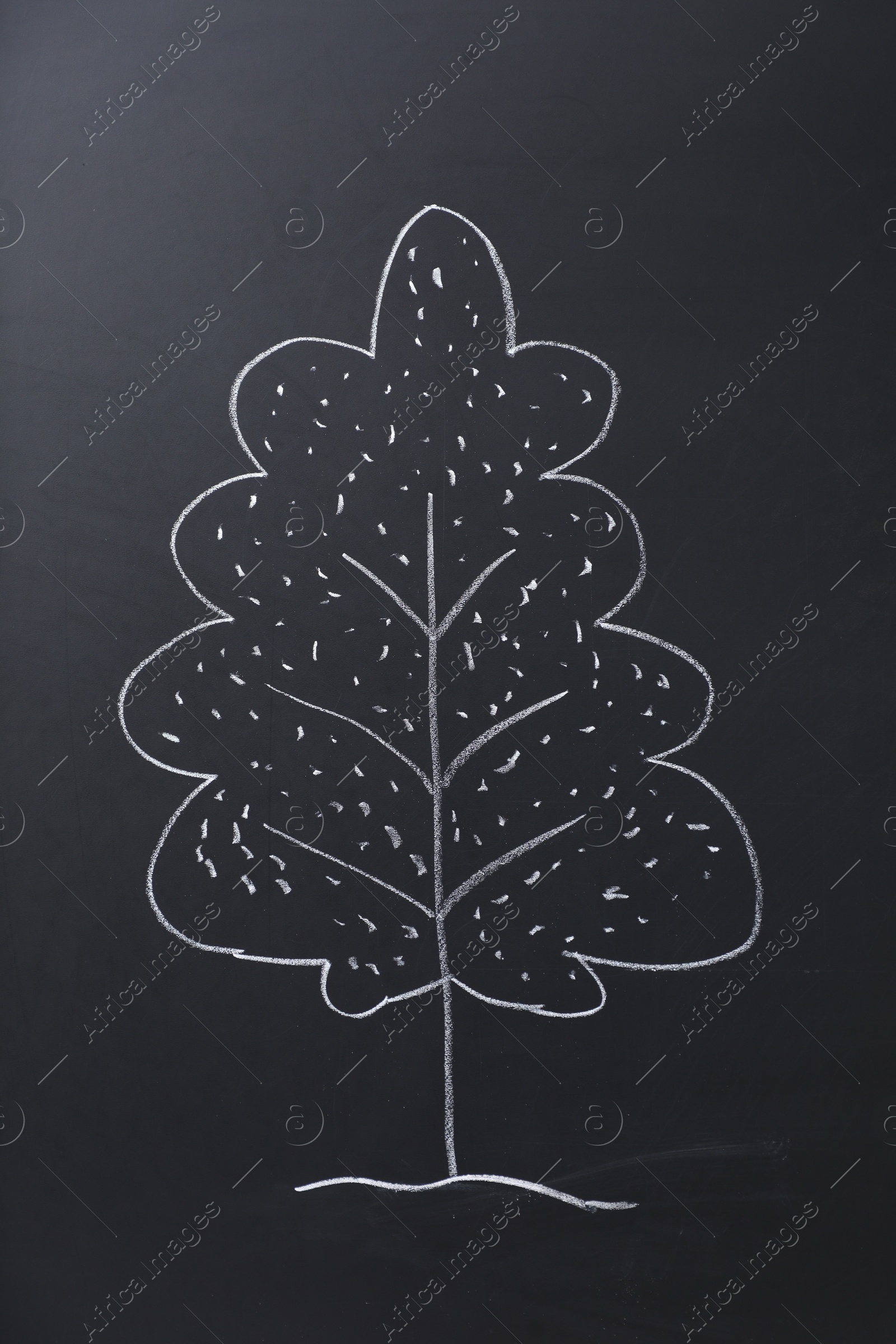 Photo of Beautiful drawing of tree on black chalkboard