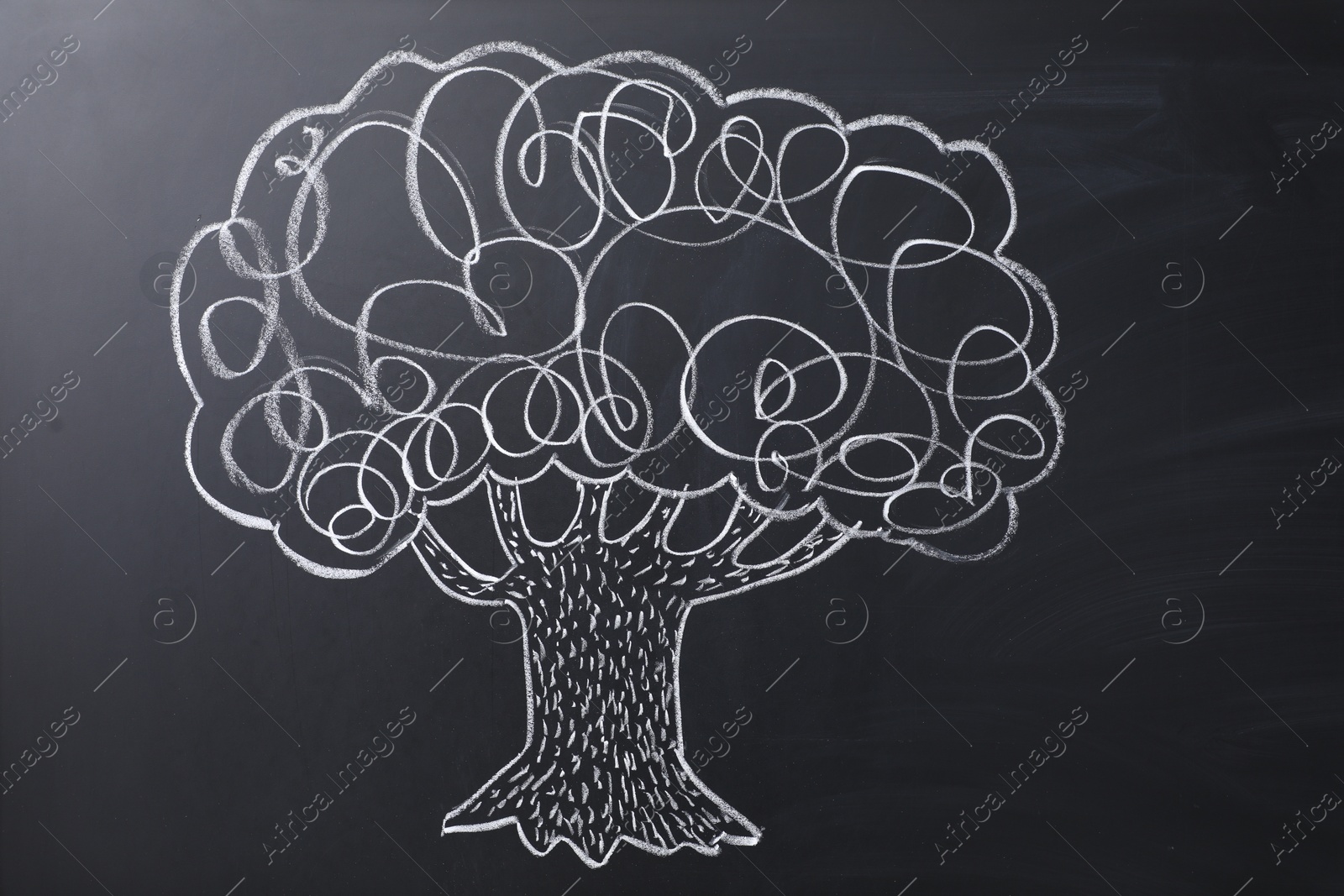 Photo of Beautiful drawing of tree on black chalkboard