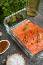 Photo of Salmon fillet with spices in dish on gray textured table, closeup