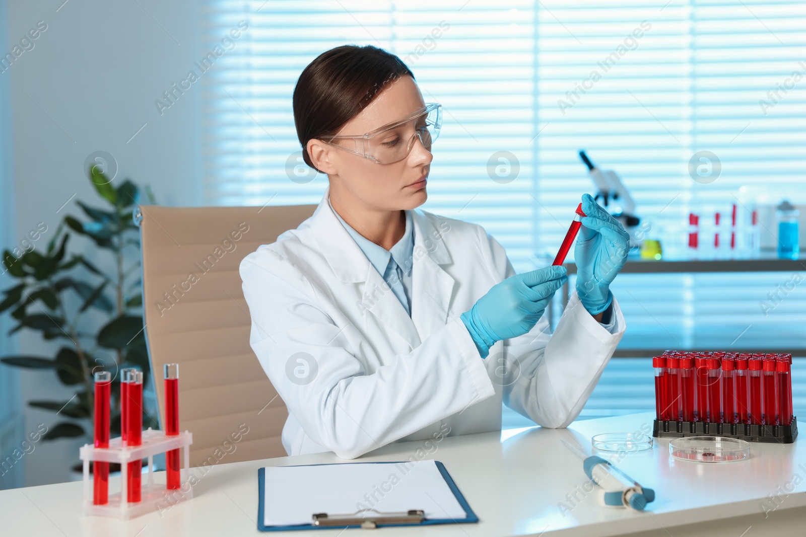 Photo of Laboratory testing. Doctor holding test tube with blood sample at table indoors