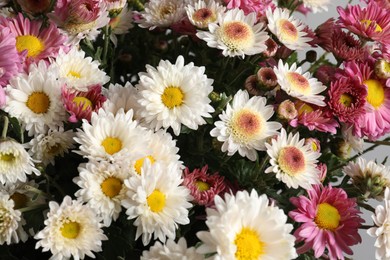 Photo of Beautiful white and pink flowers, closeup view