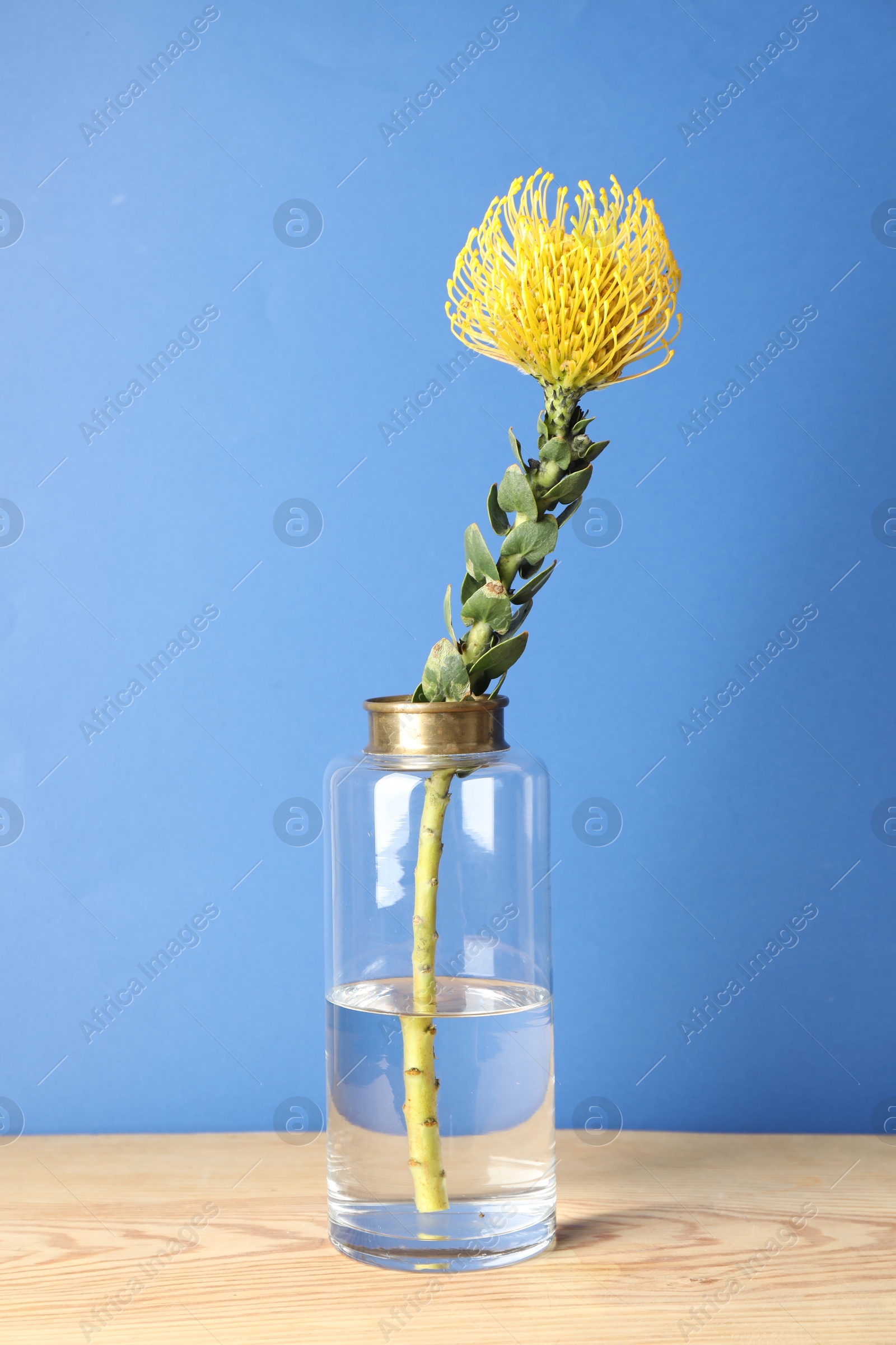 Photo of Beautiful flower in vase on wooden table