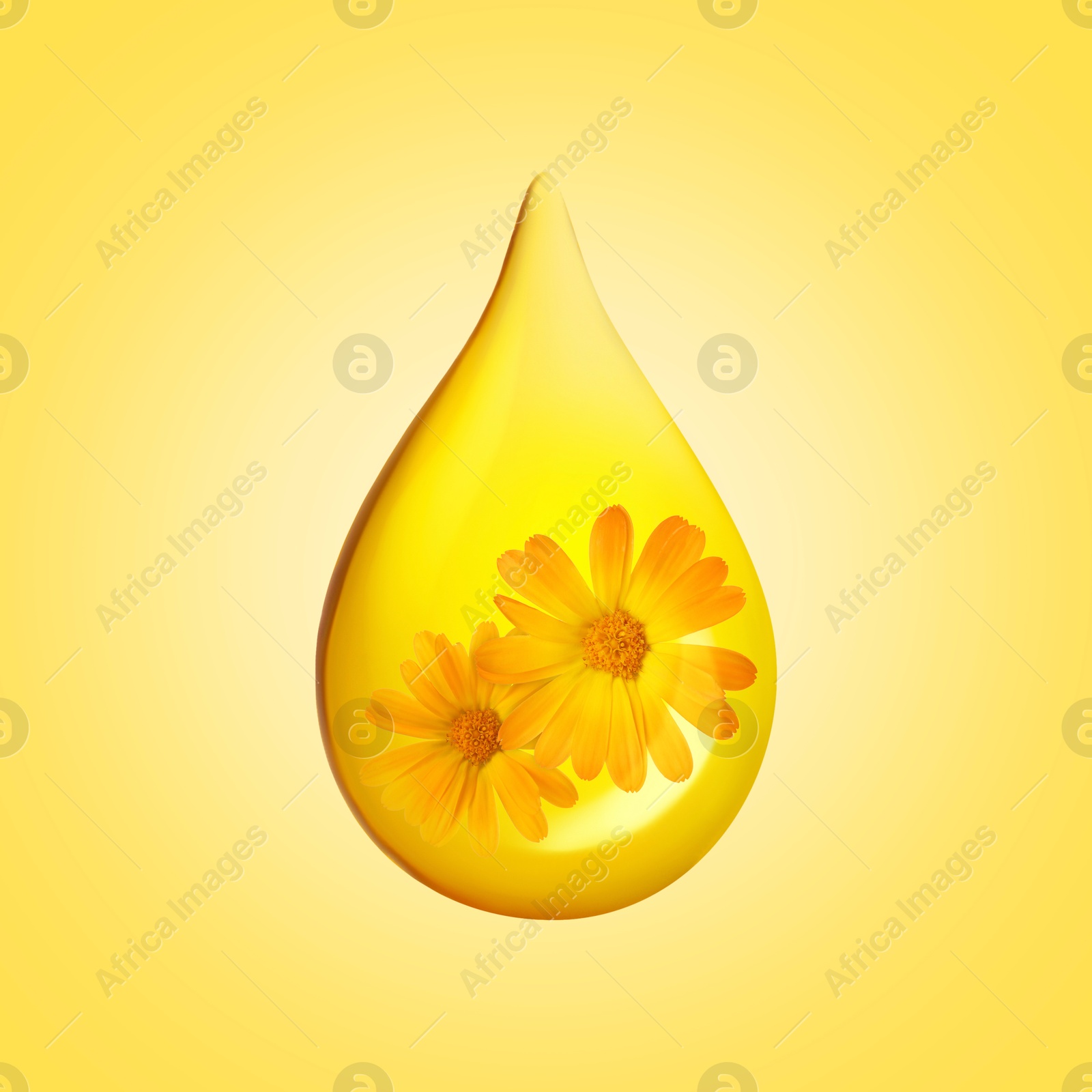 Image of Calendula essential oil drop with flowers inside on golden background