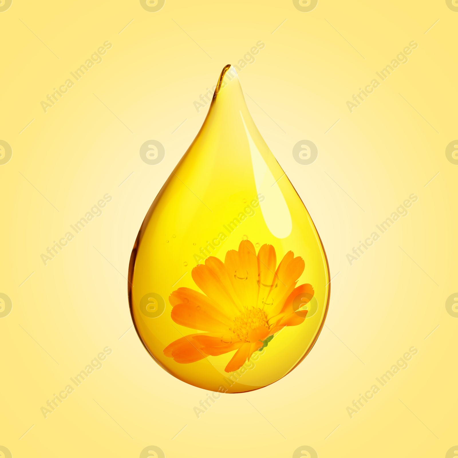 Image of Calendula essential oil drop with flower inside on golden background