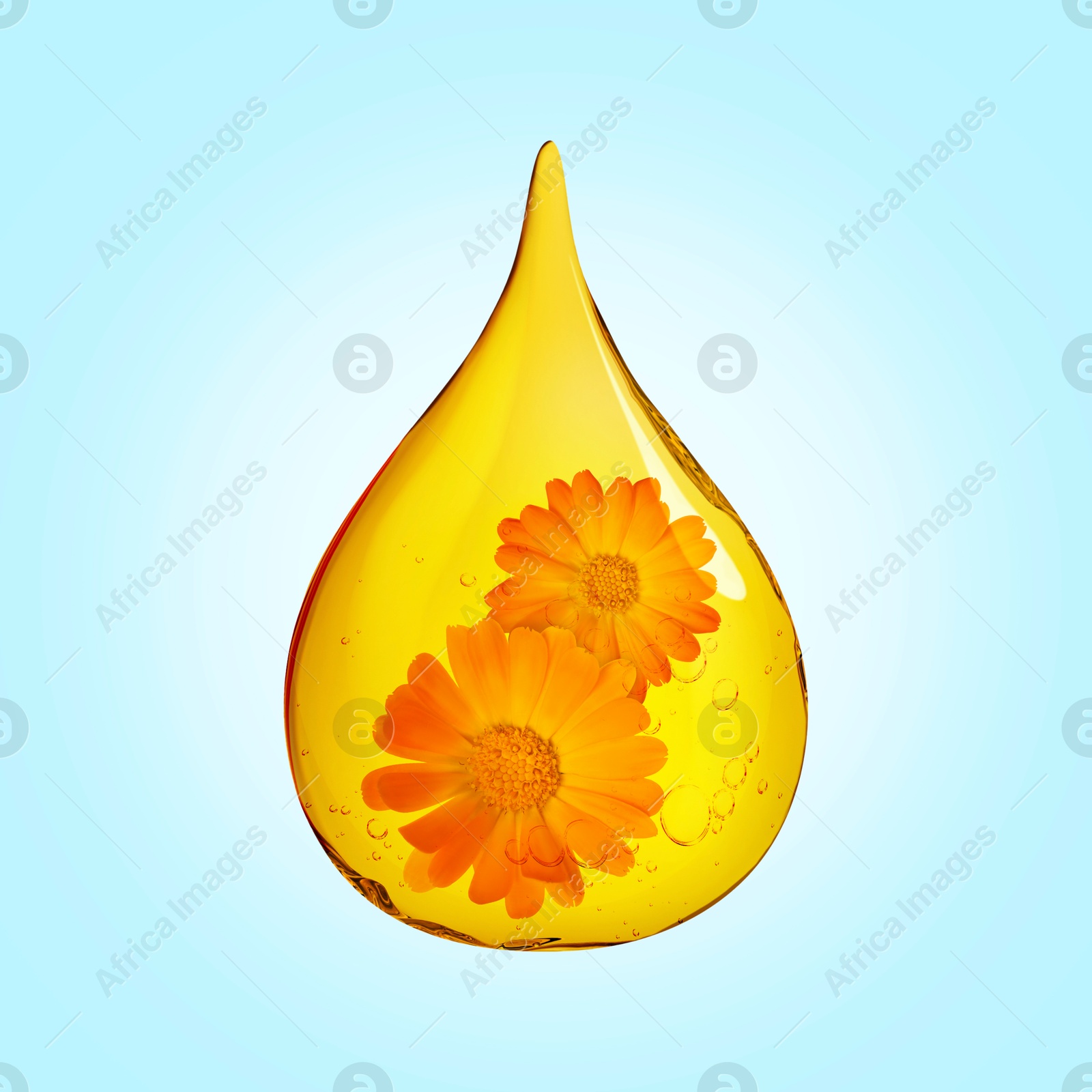 Image of Calendula essential oil drop with flowers inside on light blue background