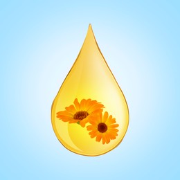 Image of Calendula essential oil drop with flowers inside on light blue background