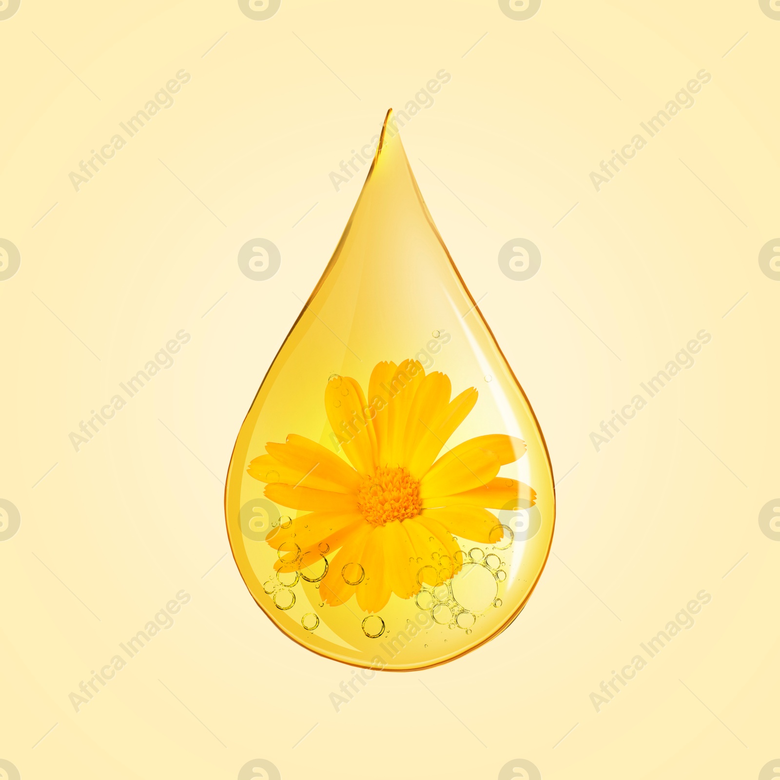 Image of Calendula essential oil drop with flower inside on beige background