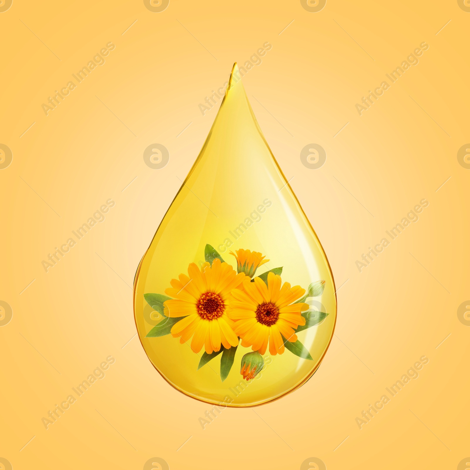 Image of Calendula essential oil drop with flowers inside on light orange background