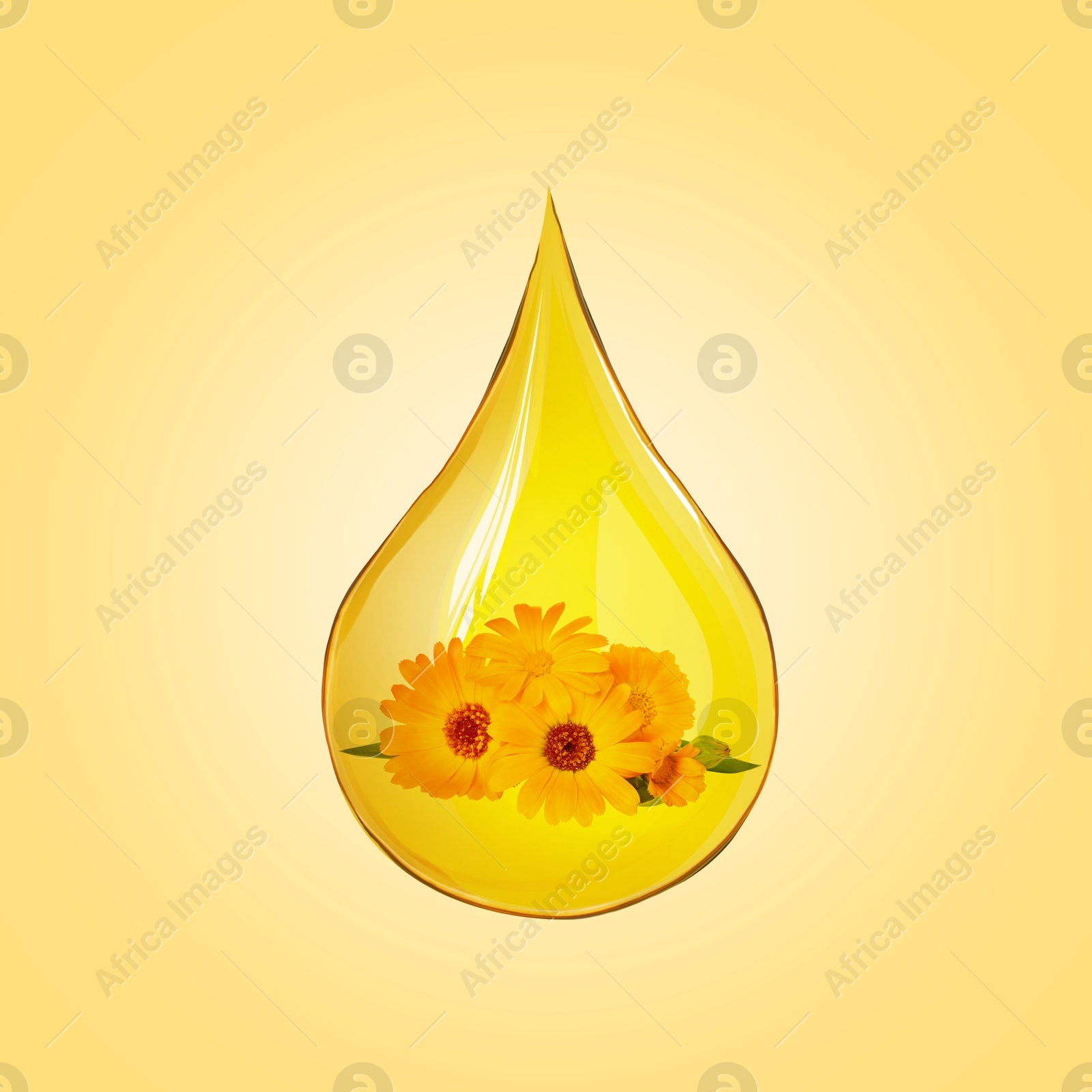 Image of Calendula essential oil drop with flowers inside on golden background