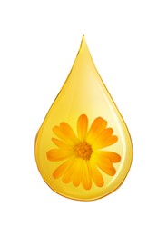 Image of Calendula essential oil drop with flower inside on white background