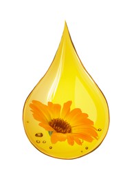 Image of Calendula essential oil drop with flower inside on white background