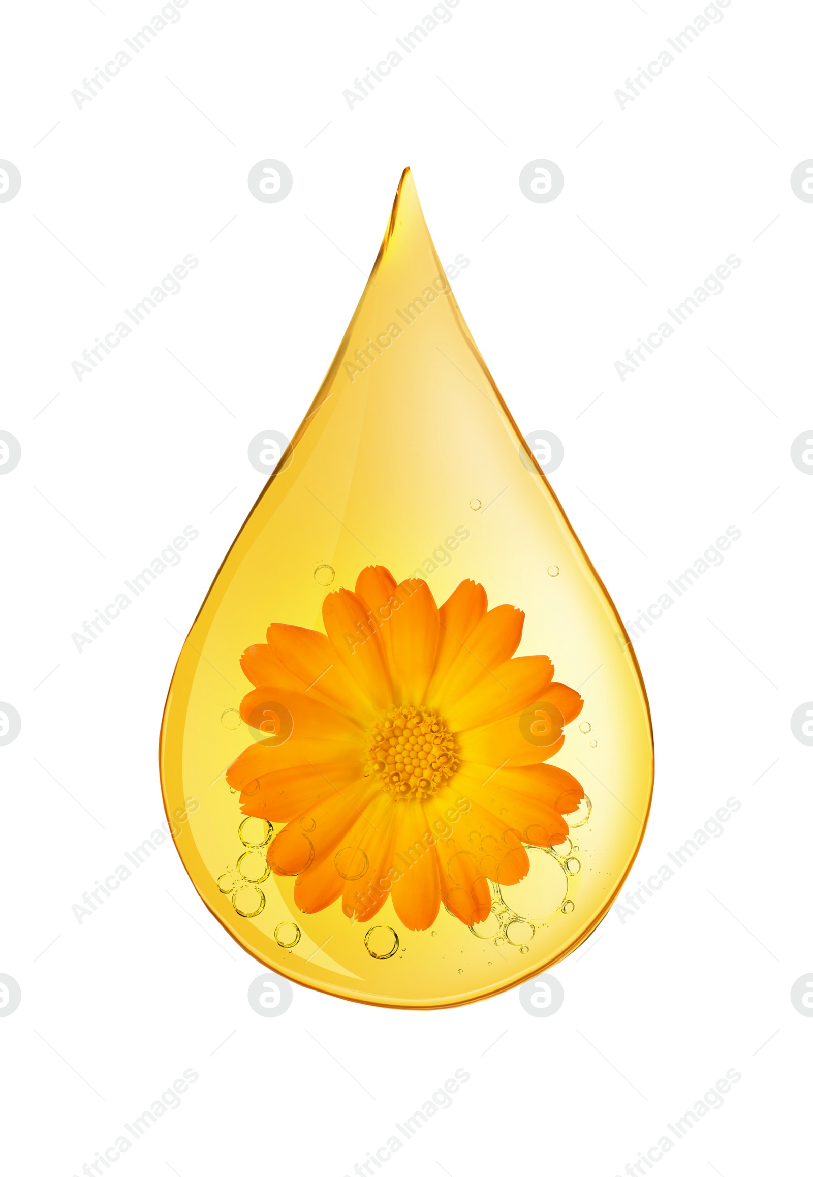 Image of Calendula essential oil drop with flower inside on white background