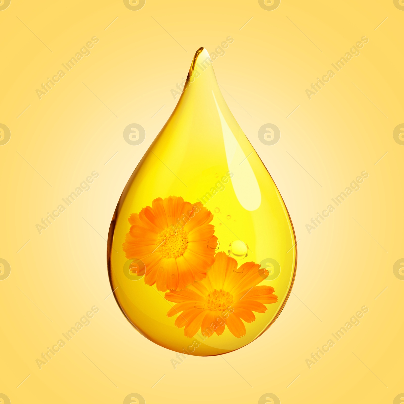 Image of Calendula essential oil drop with flowers inside on golden background