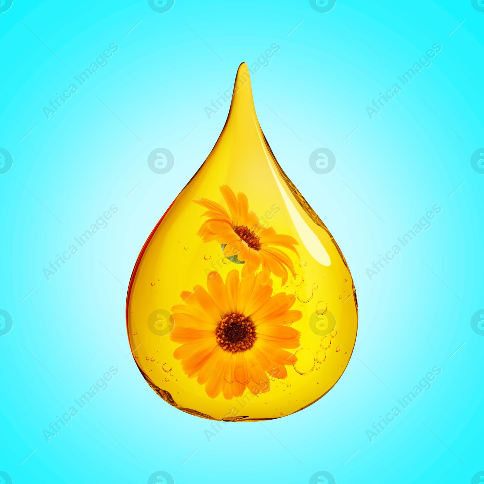 Image of Calendula essential oil drop with flowers inside on light blue background