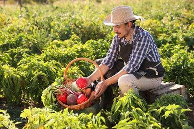 Photo of Harvesting season. Farmer with wicker basket of fresh vegetables in field on sunny day