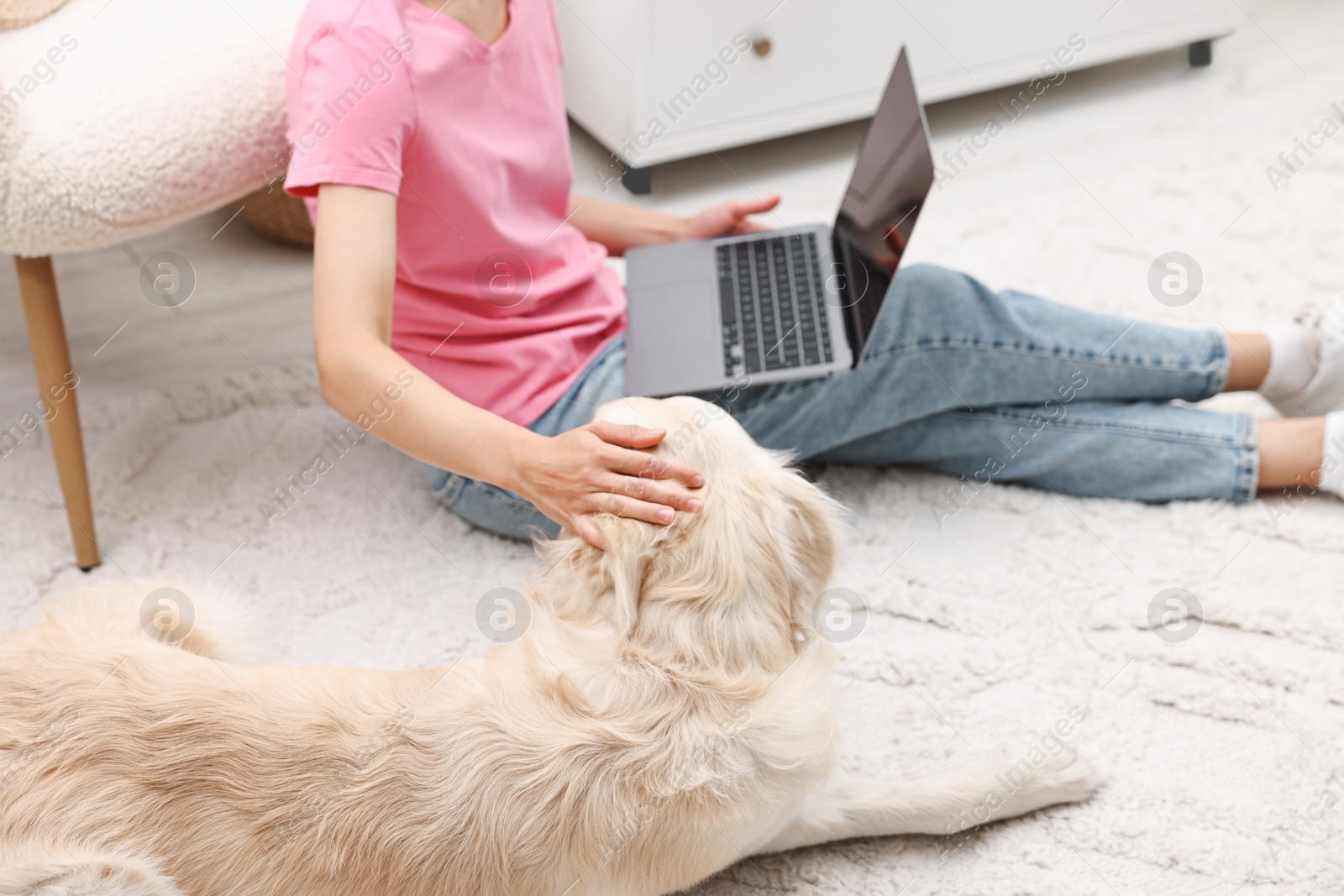 Photo of Online pet shop. Woman with laptop making order for cute Golden Retriever dog on rug at home, closeup