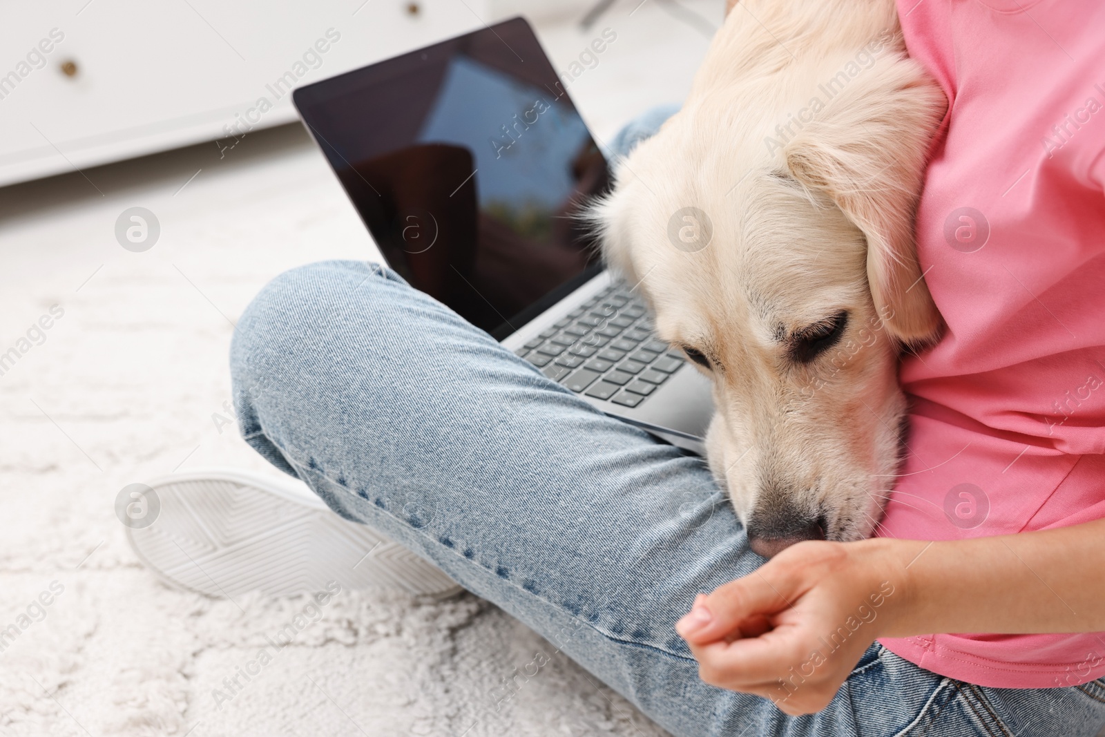 Photo of Online pet shop. Woman with laptop making order for cute Golden Retriever dog on rug at home, closeup