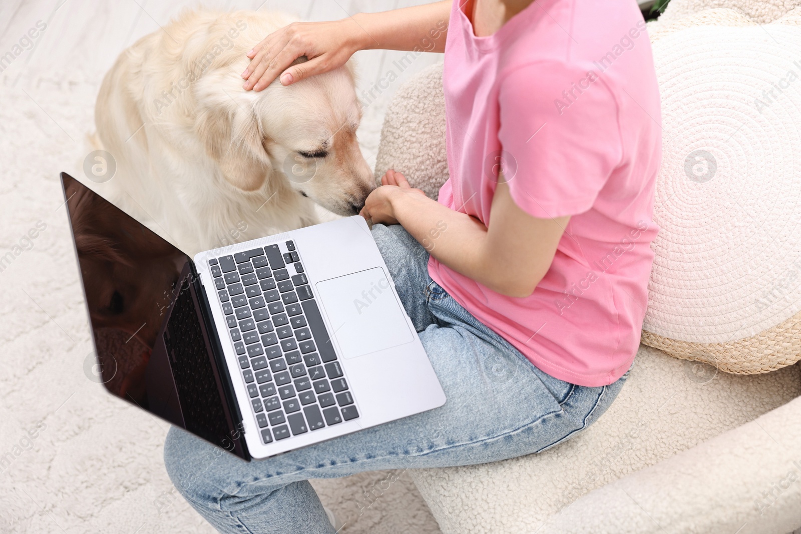 Photo of Online pet shop. Woman with laptop making order for cute Golden Retriever dog at home, closeup