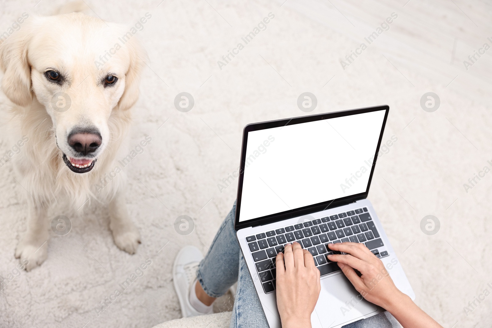 Photo of Online pet shop. Woman with laptop making order for cute Golden Retriever dog at home, closeup