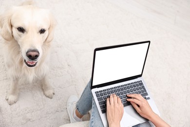 Online pet shop. Woman with laptop making order for cute Golden Retriever dog at home, closeup