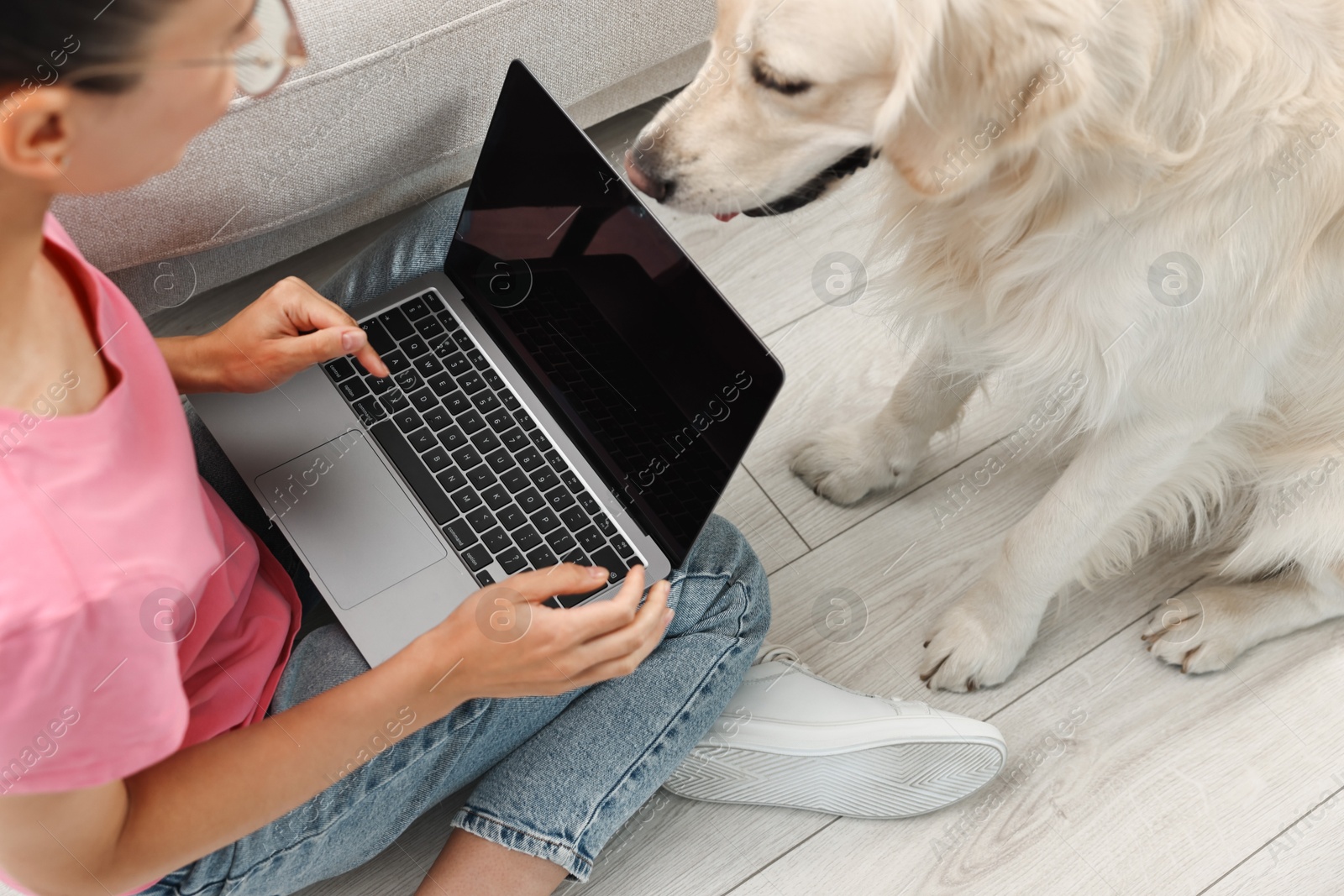 Photo of Online pet shop. Young woman with laptop making order for cute Golden Retriever dog at home