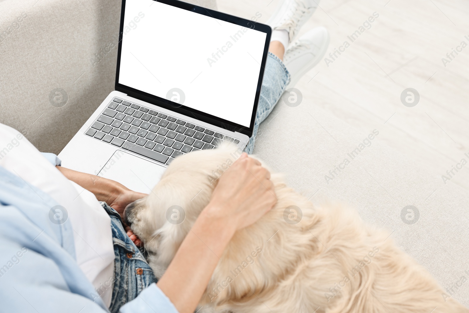 Photo of Online pet shop. Woman with laptop making order for cute Golden Retriever dog at home, closeup