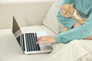 Photo of Online pet shop. Woman with laptop making order and cute cat on sofa at home, closeup