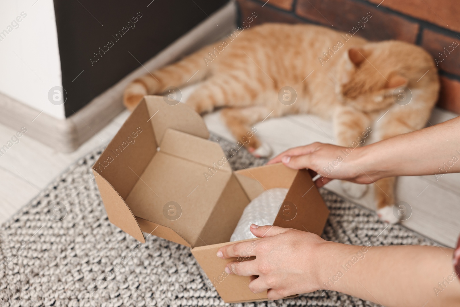 Photo of Online pet shop. Woman with cardboard box and cute cat on rug at home, closeup