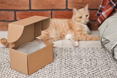 Online pet shop. Woman with cardboard box and cute cat on rug at home, closeup