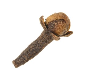 Photo of One dry clove bud isolated on white. Aromatic spice