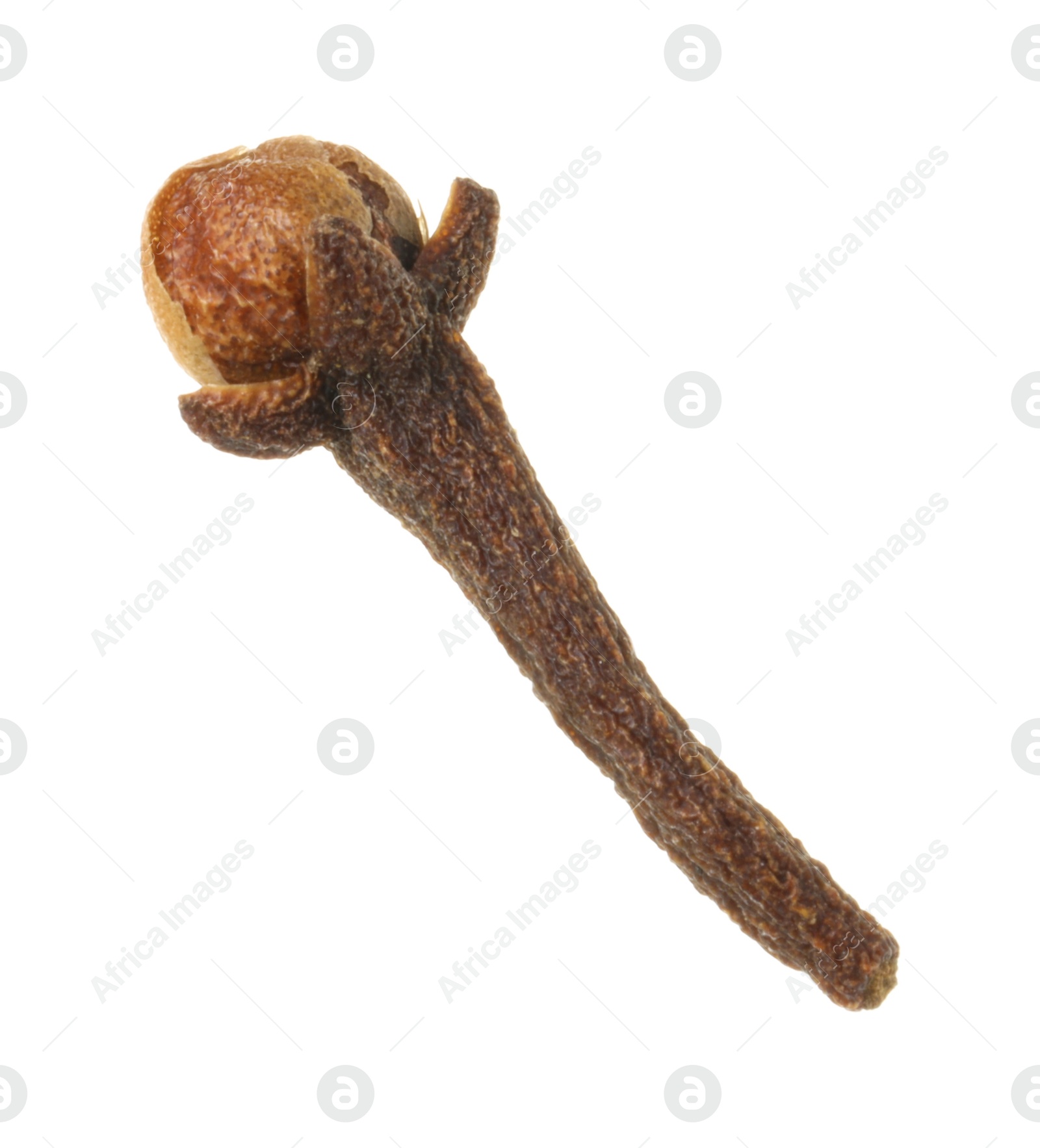 Photo of One dry clove bud isolated on white. Aromatic spice