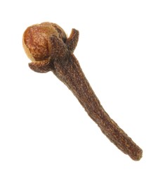 Photo of One dry clove bud isolated on white. Aromatic spice