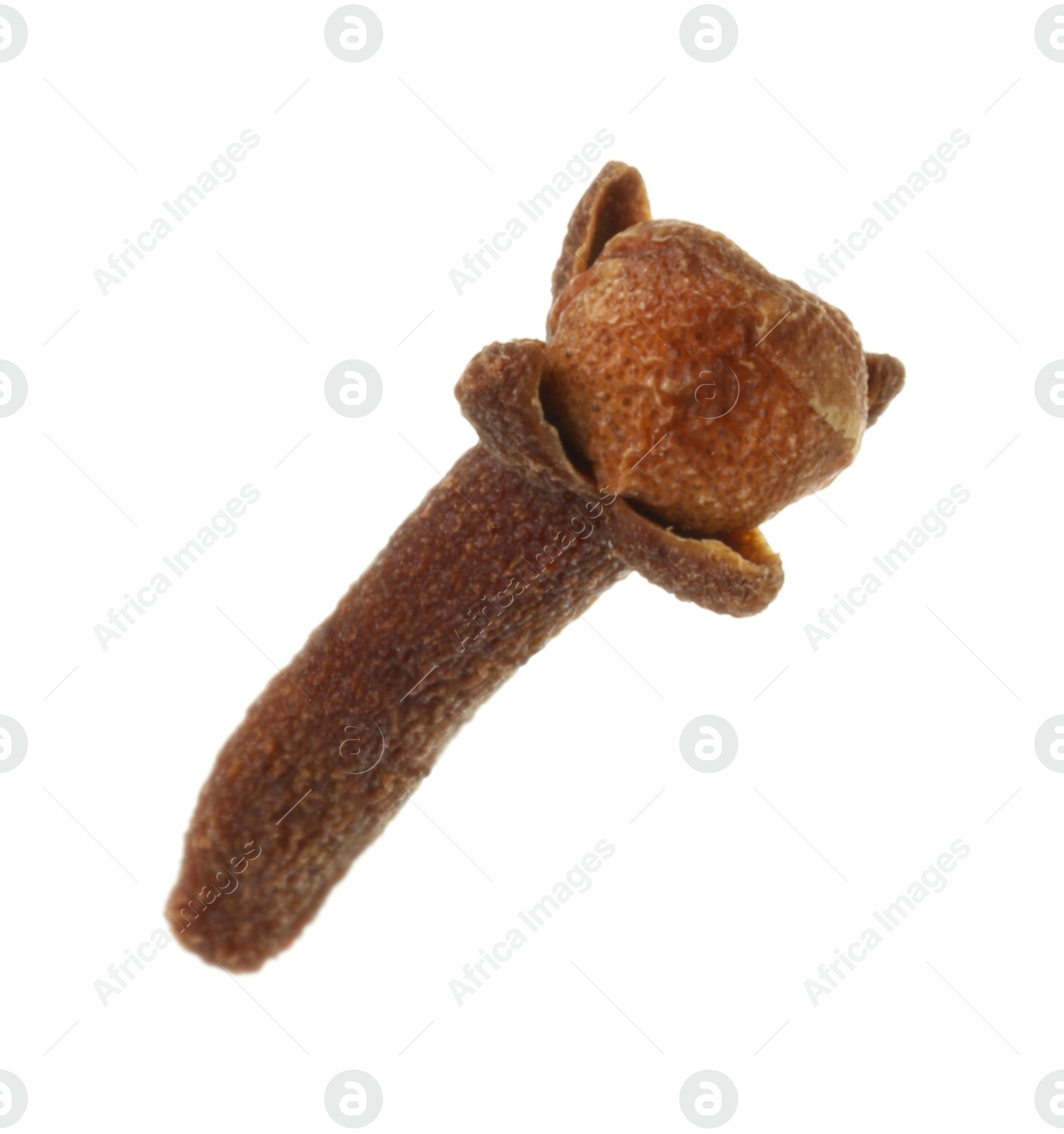 Photo of One dry clove bud isolated on white. Aromatic spice