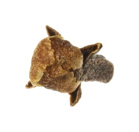 One dry clove bud isolated on white. Aromatic spice