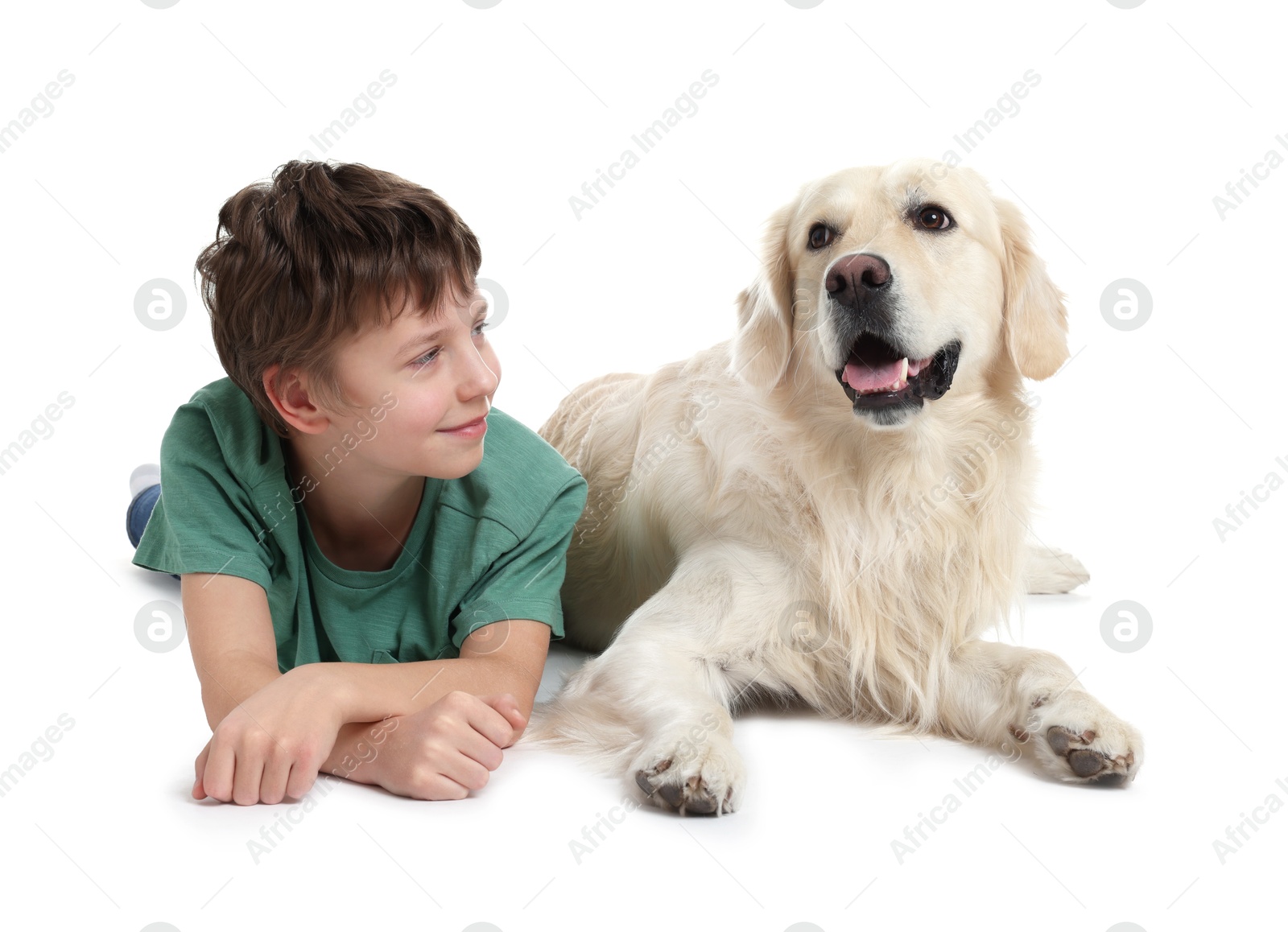 Photo of Boy with his cute dog on white background