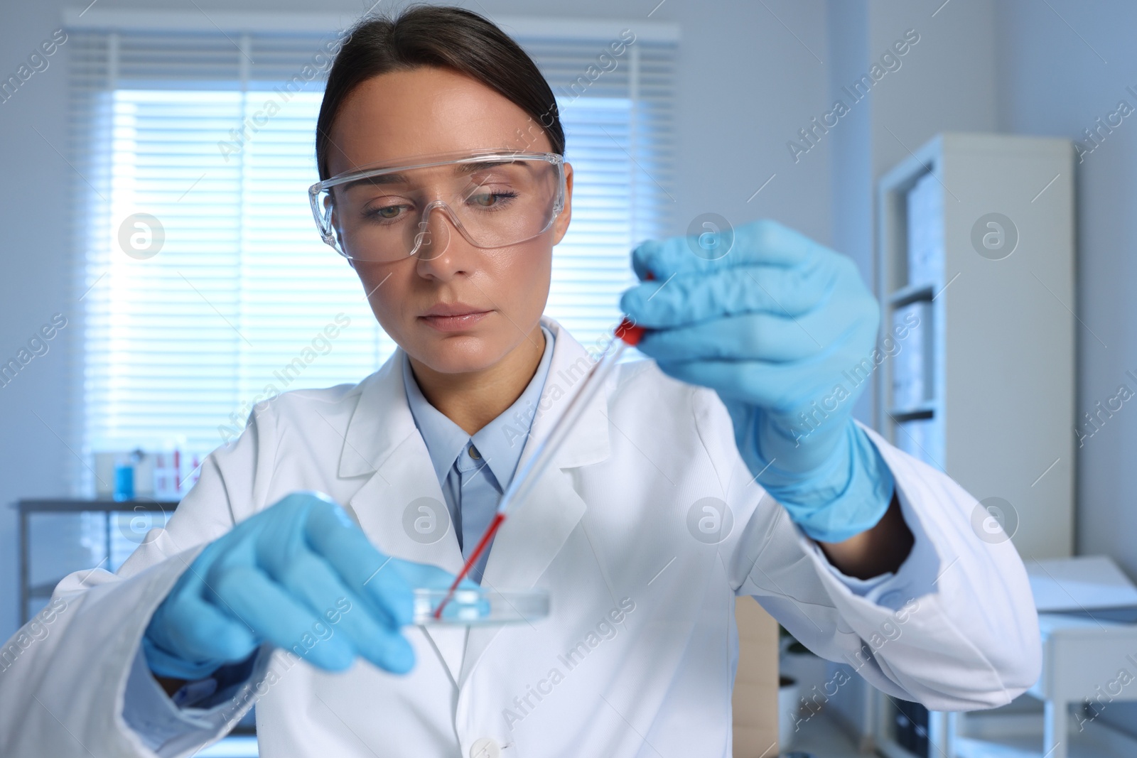 Photo of Laboratory testing. Doctor dripping blood sample into Petri dish indoors